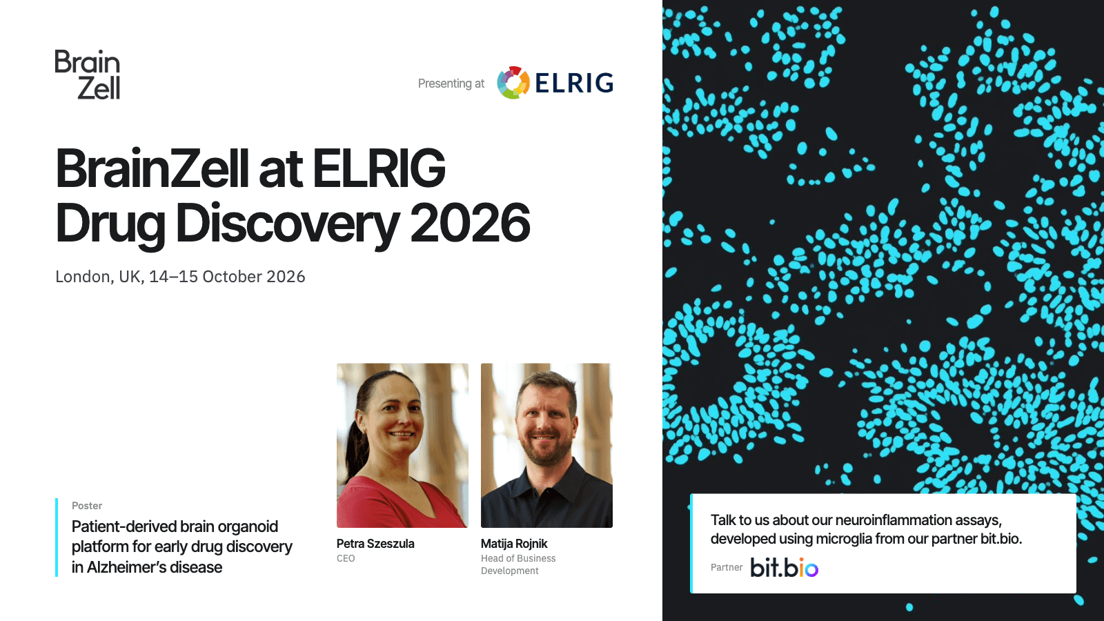 BrainZell presenting scientific work at ELRIG Drug Discovery